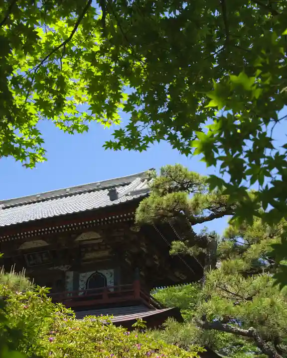 福増寺(群馬県)