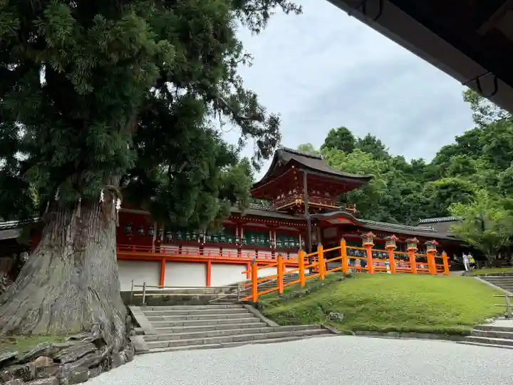 春日大社(奈良県)