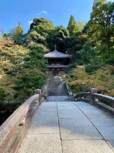 知恩院(京都府)