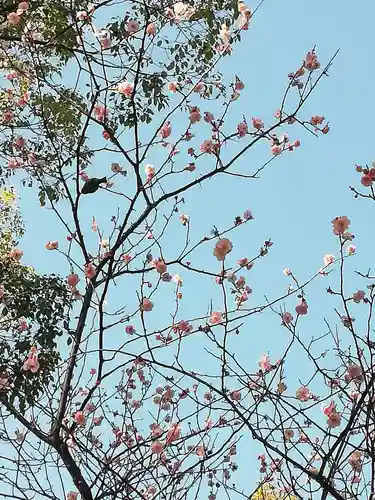 聖福寺の庭園