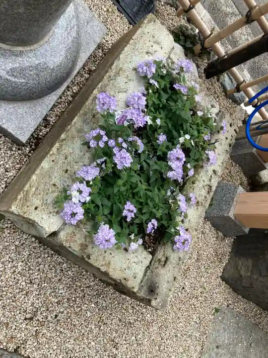 山蒼稲荷神社(神奈川県)