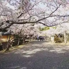 亀峰山平成院の庭園