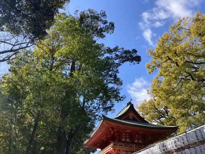 武蔵一宮氷川神社(埼玉県)