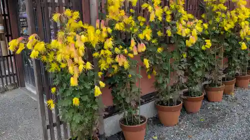 三千院門跡(京都府)