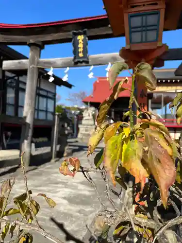 大鏑神社の鳥居