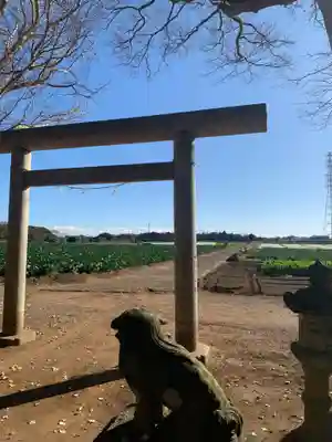 諏訪大神(千葉県)