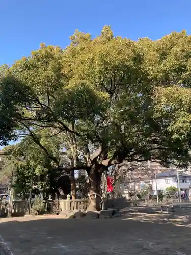 平塚三嶋神社(神奈川県)