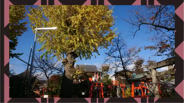 塚越稲荷神社(埼玉県)
