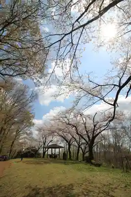 浅間神社(神奈川県)