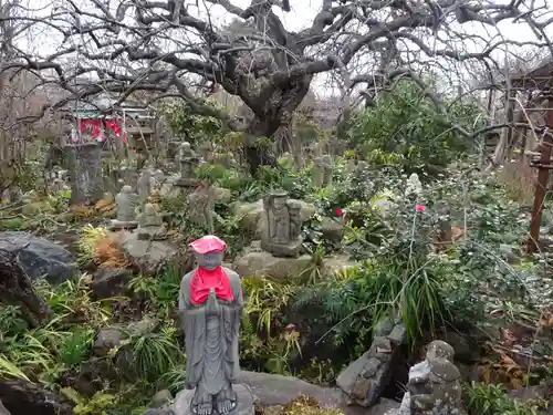 常泉寺の庭園