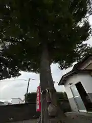 須賀神社(宮城県)