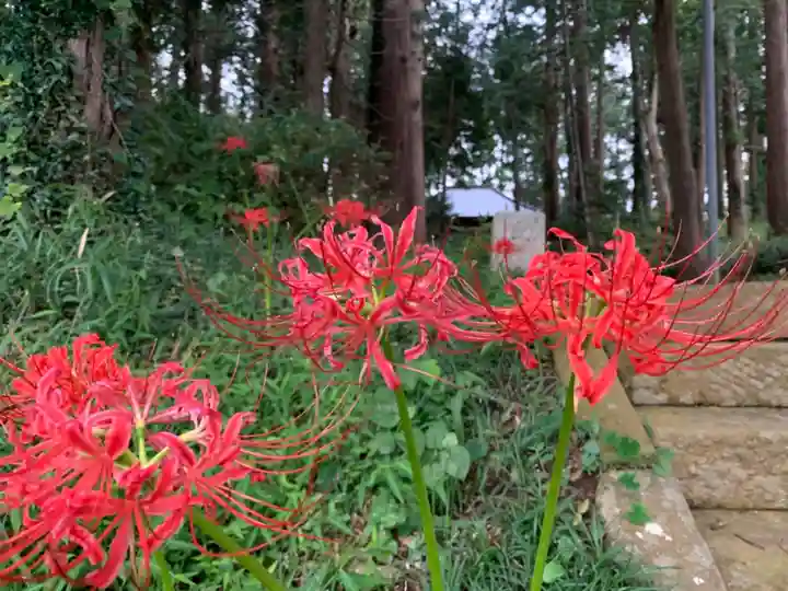 春日神社の自然