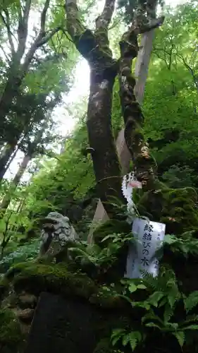 桜松神社(岩手県)
