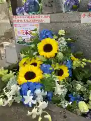 手稲神社の手水