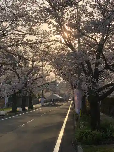  湊八幡神社(福井県)