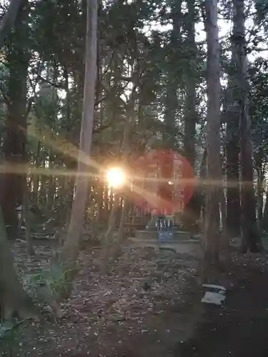 弓田香取神社の自然