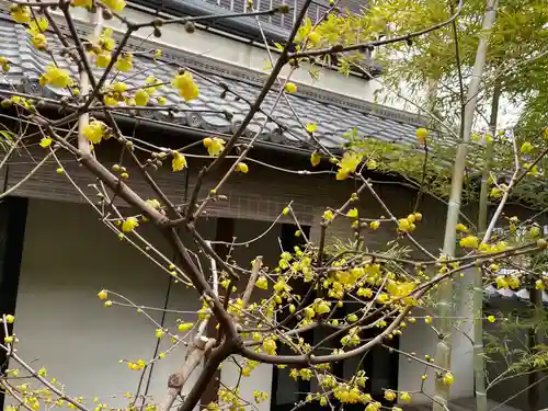 遠照山 光明寺（尼崎大仏）(兵庫県)