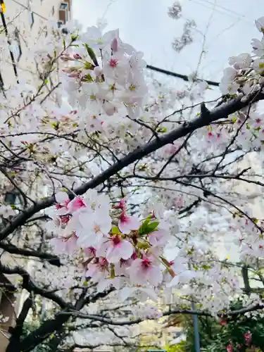 秋葉神社(東京都)
