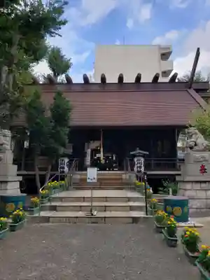 高円寺氷川神社の本殿・本堂