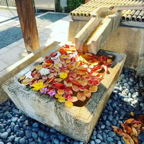 くろ谷 金戒光明寺の手水舎