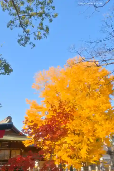 葛飾八幡宮(千葉県)