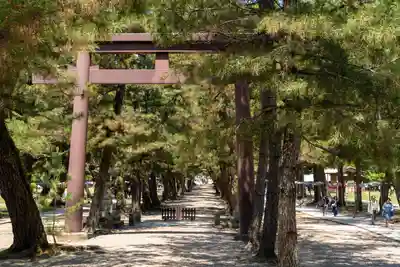 出雲大社(島根県)