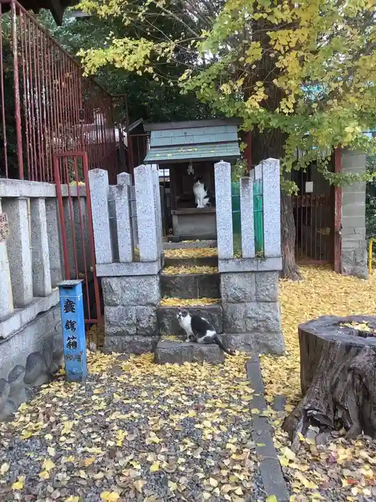 水野社(愛知県)