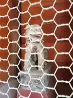 佐保神社の狛犬