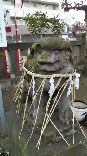 白幡神社の狛犬