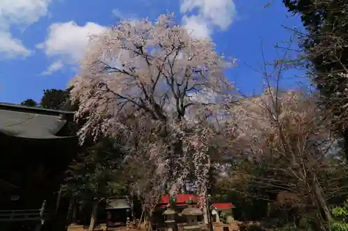 田村神社の庭園