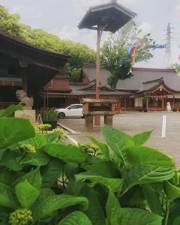 尾張大國霊神社(国府宮)の自然