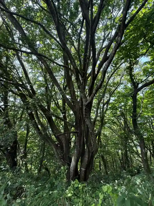 彌彦神社奥宮(御神廟)(新潟県)