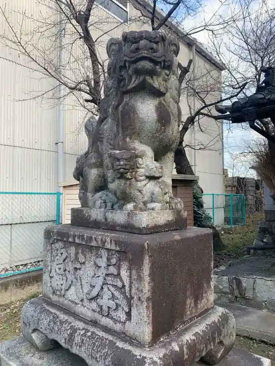 天神社(井堀)の狛犬
