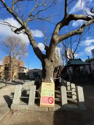阿邪訶根神社(福島県)