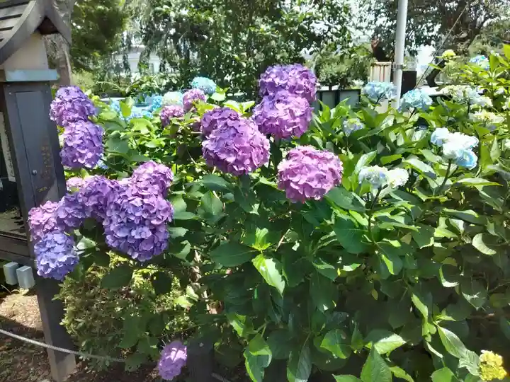 妙楽寺(神奈川県)