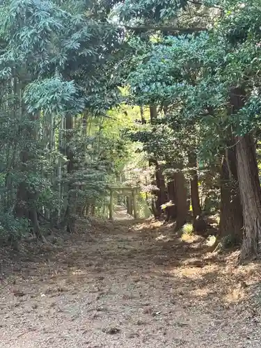 胎安神社(茨城県)