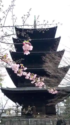 東寺（教王護国寺）(京都府)