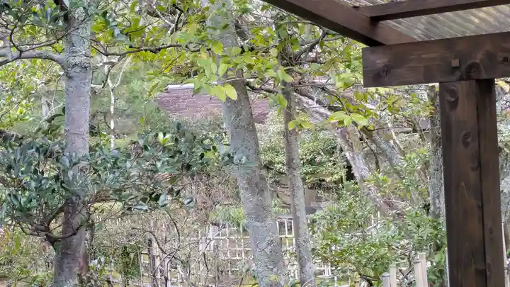 仁和寺(京都府)