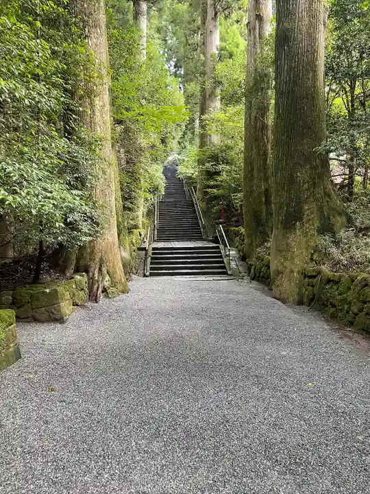 箱根神社(神奈川県)