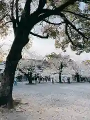 三嶋大社の建物その他