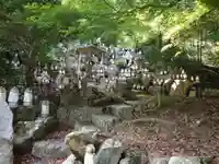 桜井寺(櫻井寺)(愛知県)
