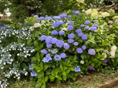 大宝八幡宮(茨城県)