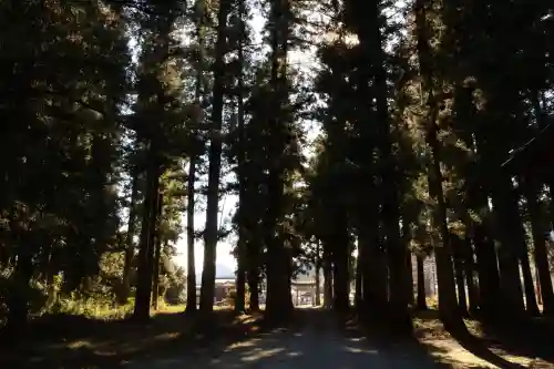 宇都宮神社（下彦間町）(栃木県)