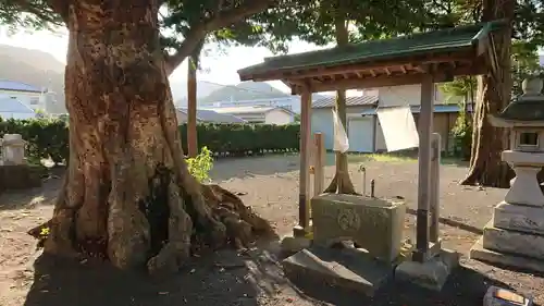 須佐乃男神社   の手水