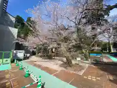 松尾寺(京都府)