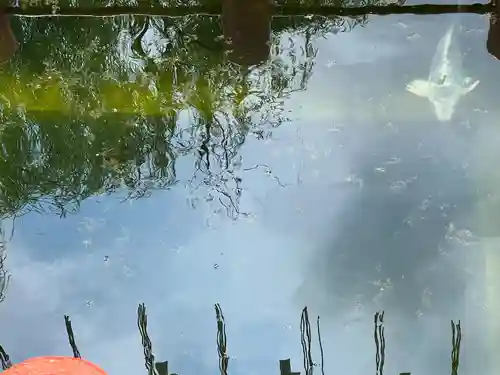 息栖神社(茨城県)