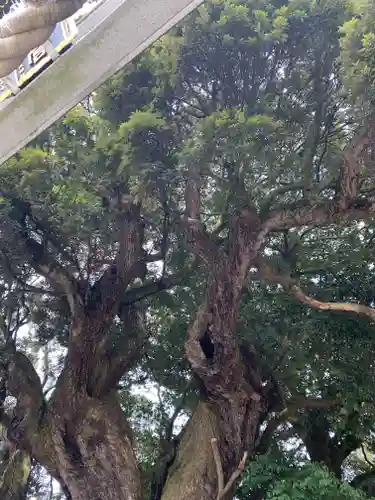 三嶋神社(茨城県)