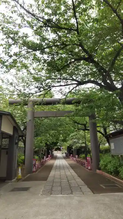 亀戸 香取神社の鳥居