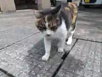 氷川神社(福井県)