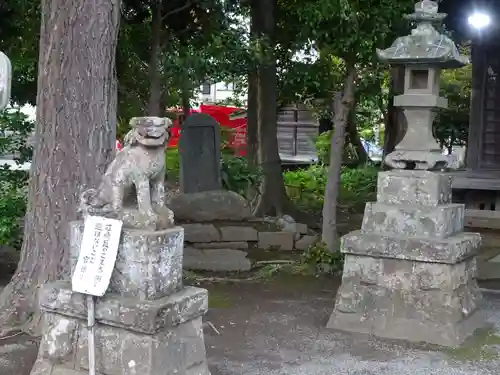 浅間大神の狛犬